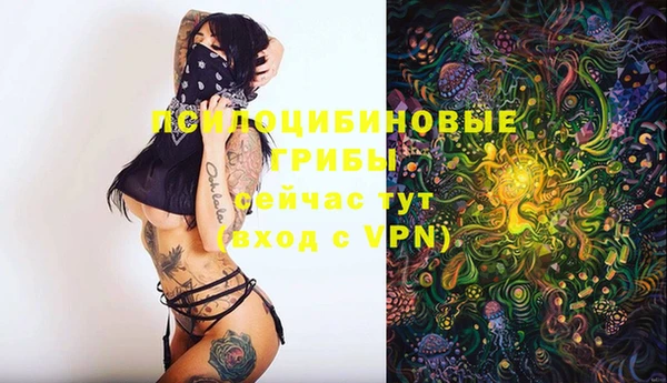 винт Белоозёрский