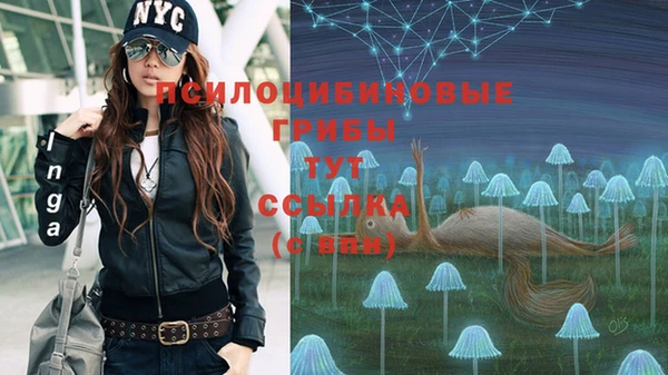 винт Белоозёрский