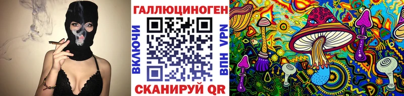 Псилоцибиновые грибы Cubensis Кирс